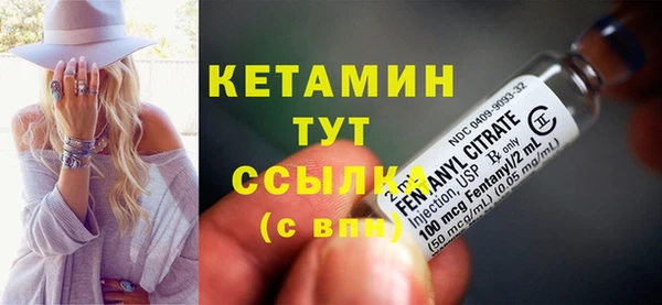шишки Бородино
