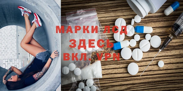 шишки Бородино