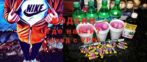 шишки Бородино