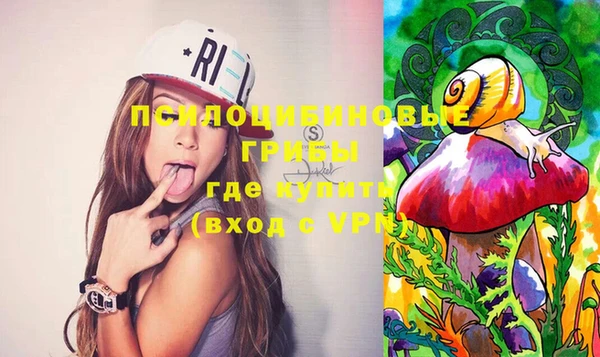 шишки Бородино