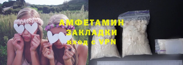 шишки Бородино