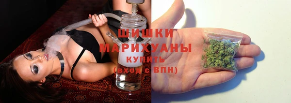 шишки Бородино