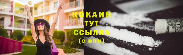 твердый Бронницы