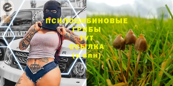mdpv Бугульма
