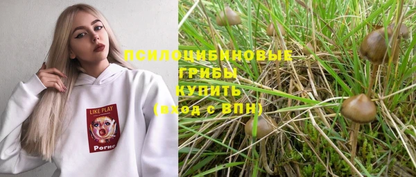 твердый Бронницы