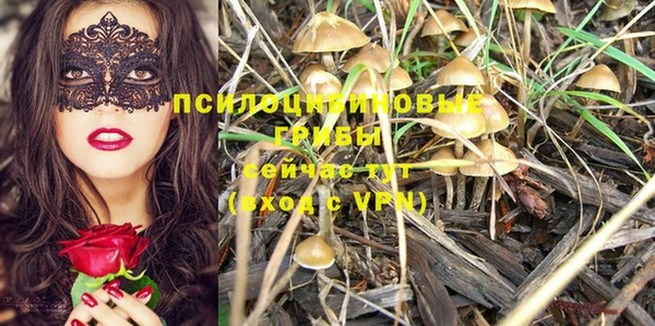 твердый Бронницы