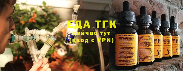 шишки Бородино