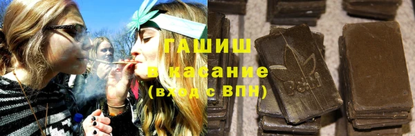 шишки Бородино