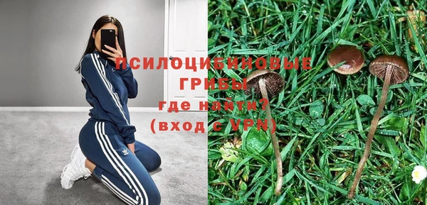 твердый Бронницы