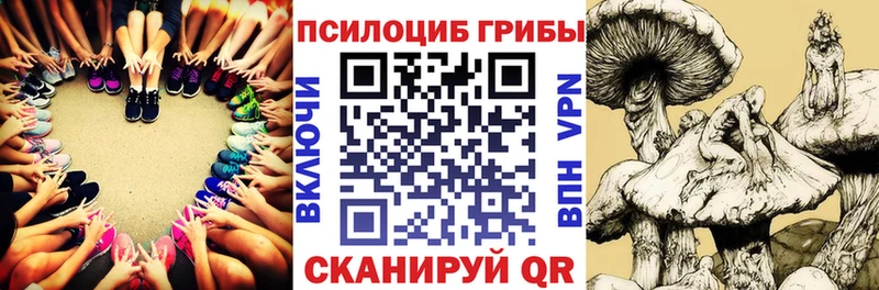 Купить где  Ардатов  Псилоцибиновые грибы мицелий 